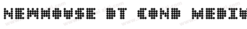 Newhouse DT Cond Medium by字体转换